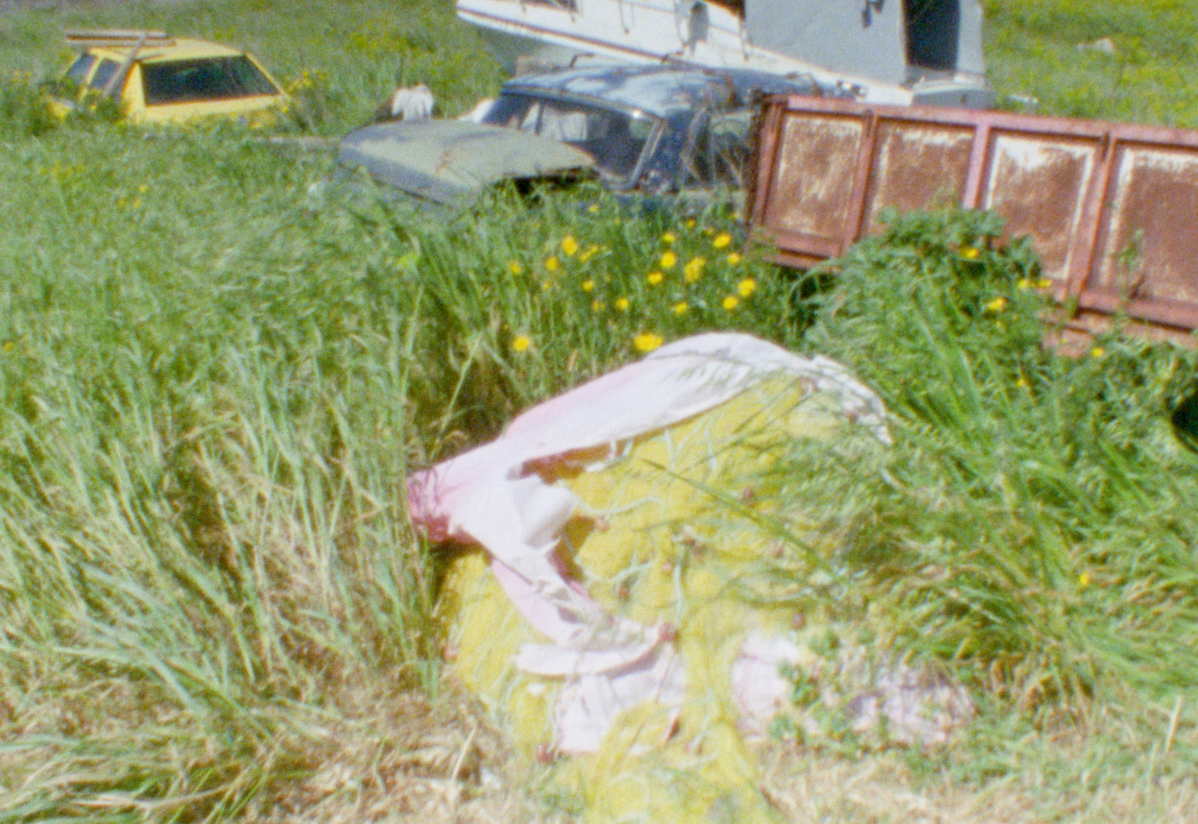 SEQ_20260611_edit EXPORT DIPLOM.00_01_30_16.Standbild022