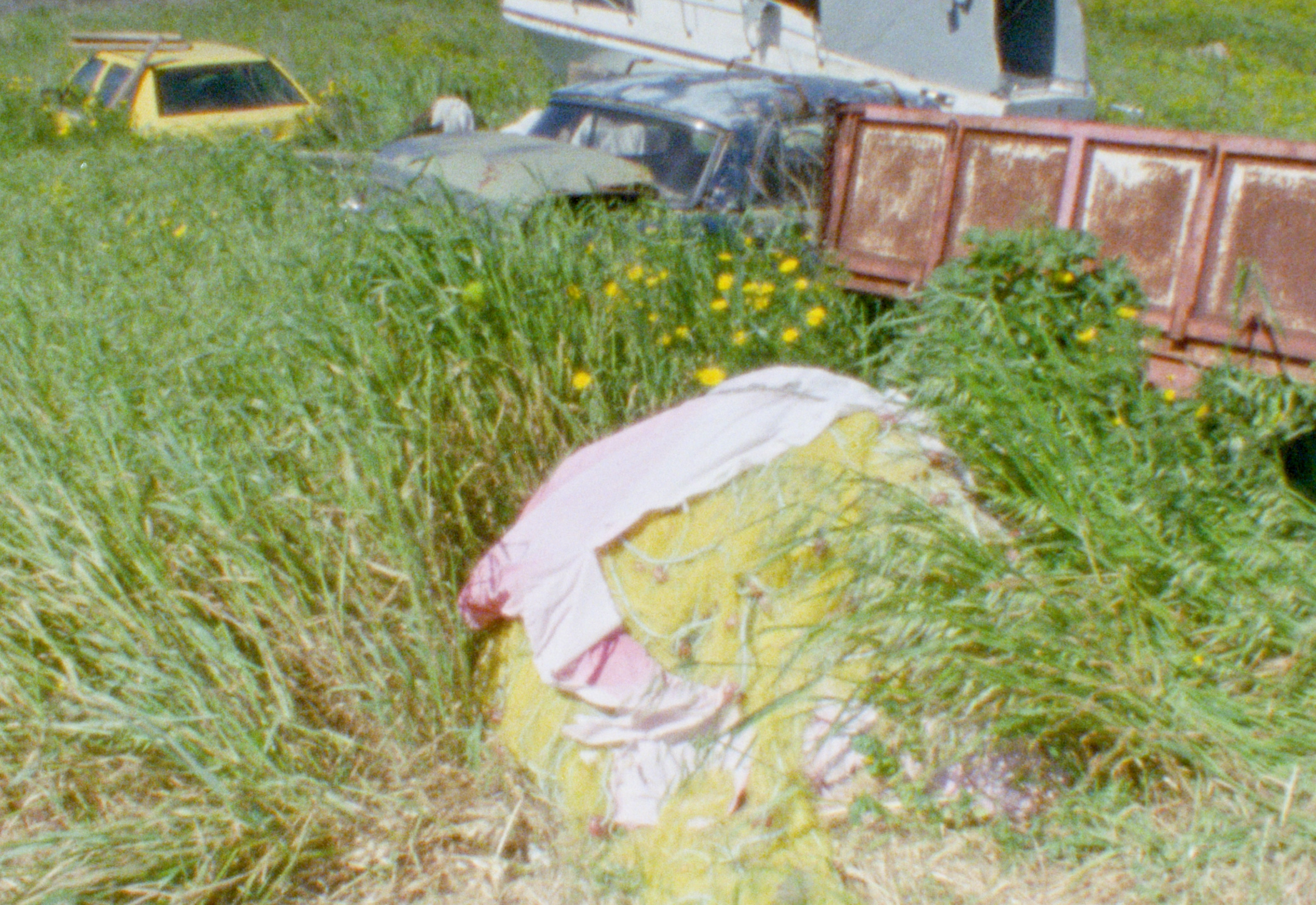 SEQ_20260611_edit EXPORT DIPLOM.00_01_32_01.Standbild023